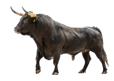 Imagen PNG para descargar